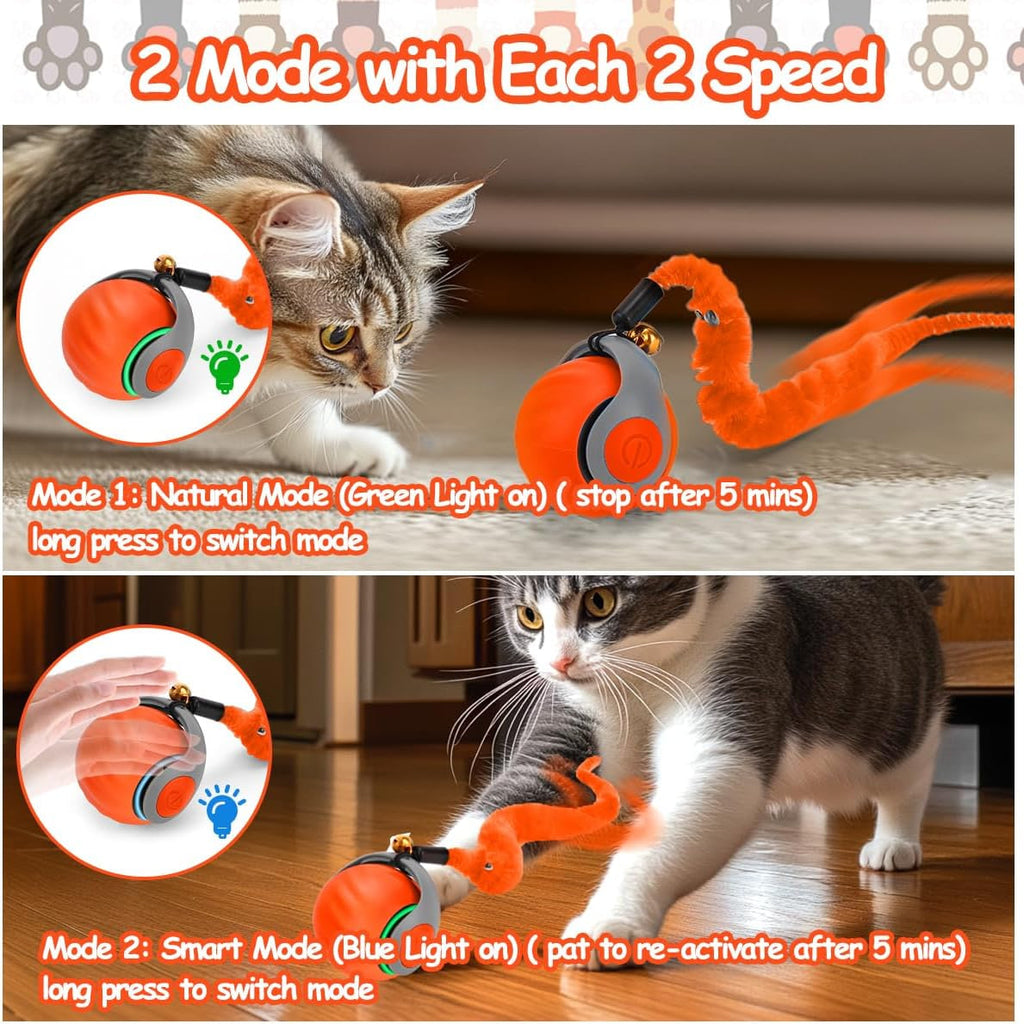 Mity rain Interactive Cat Toy Ball, Rechargeable Cat Toys for Indoor Cats