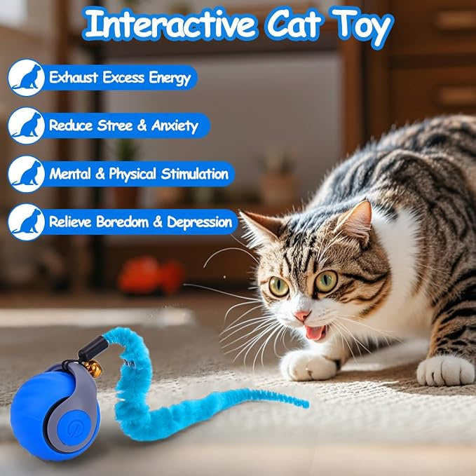 Mity rain Interactive Cat Toy Ball, Rechargeable Cat Toys for Indoor Cats